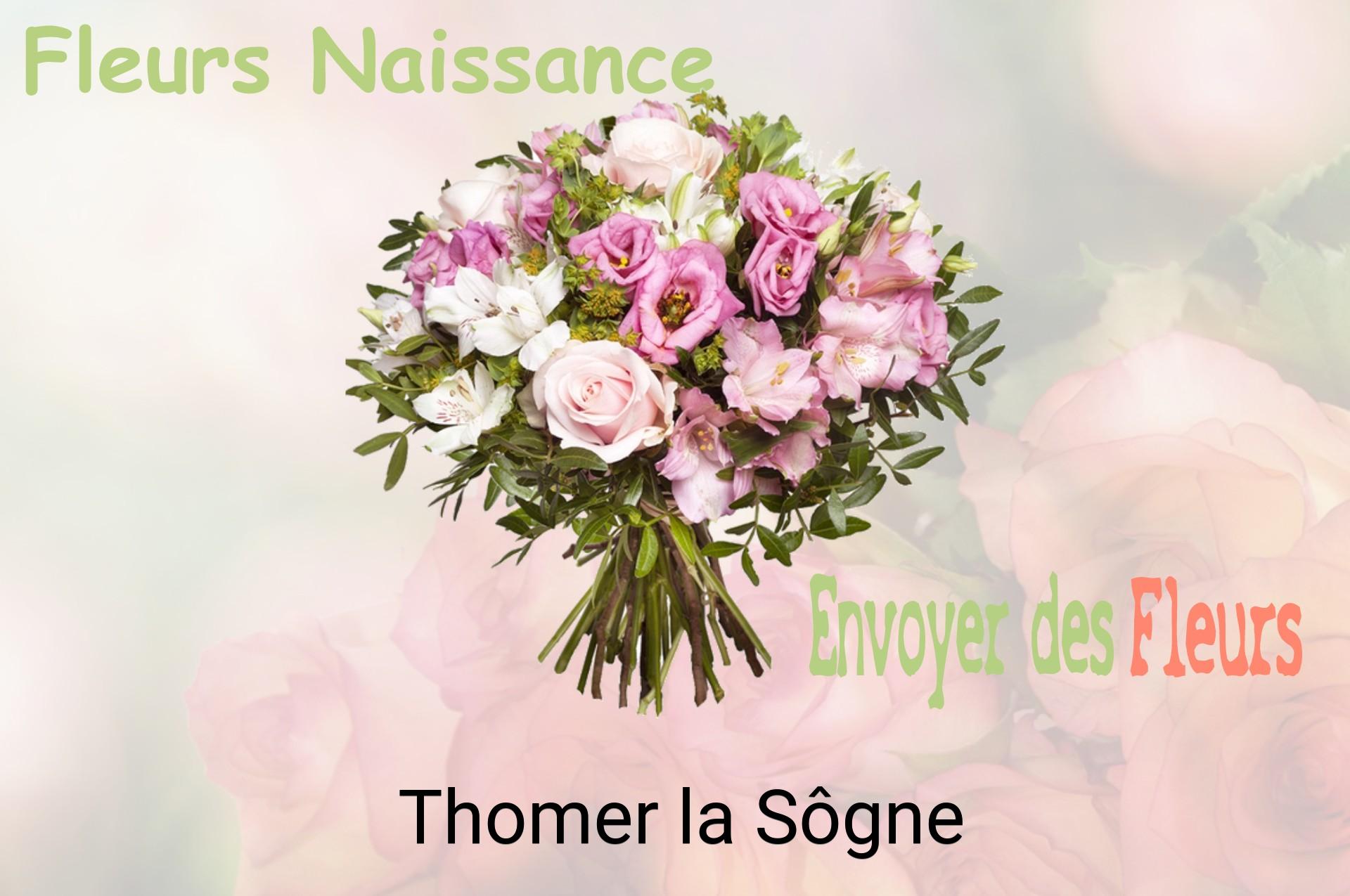 Bouquet de fleurs de naissance livré à Thomer-la-Sôgne